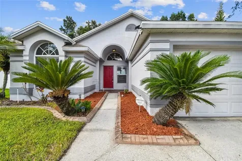 29429 Birds Eye Drive Wesley Chapel FL 33543