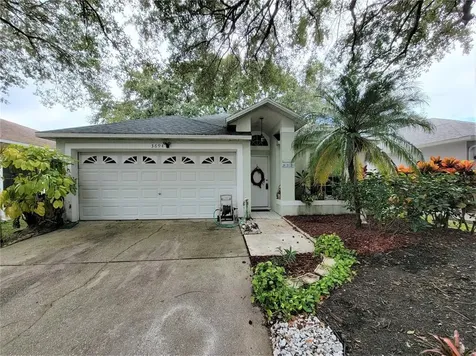 3694 Sapphire Lane Palm Harbor FL 34684