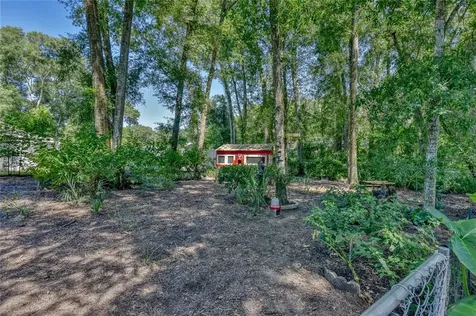 3487 SE 136th Place Summerfield FL 34491