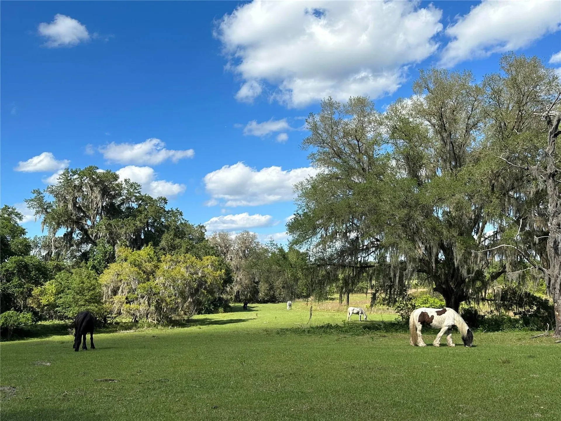 18001 SE Hawthorne Road Hawthorne FL 32640