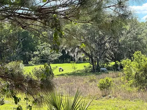 18001 SE Hawthorne Road Hawthorne FL 32640
