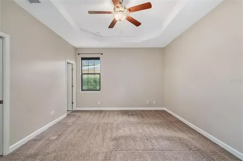 8523 N Newport Avenue Tampa FL 33604