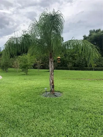 2341 Blue Meadows Court Apopka FL 32703