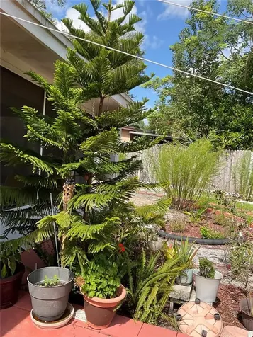 441 Hibiscus Road Casselberry FL 32707