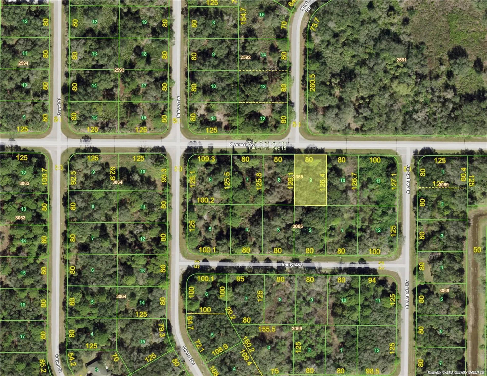 15095 & 15103 Gennaro Avenue Port Charlotte FL 33953