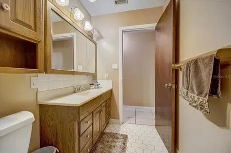 27922 Tammi Drive Tavares FL 32778