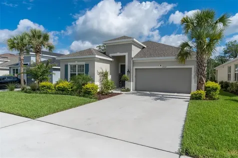 29769 Chapel Chase Drive Wesley Chapel FL 33545