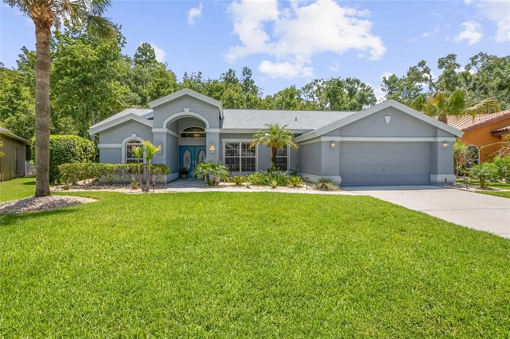 26054 Sawgrass Court Land O Lakes FL 34639