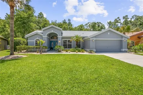 26054 Sawgrass Court Land O Lakes FL 34639