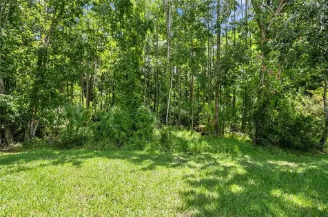 26054 Sawgrass Court Land O Lakes FL 34639