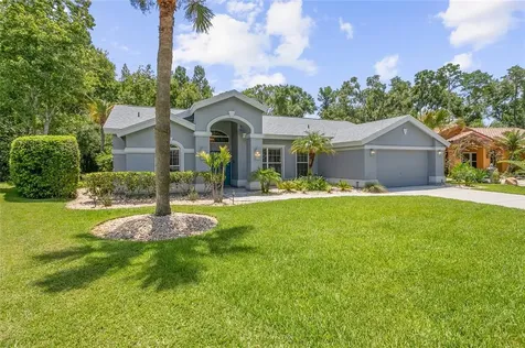 26054 Sawgrass Court Land O Lakes FL 34639