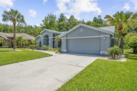 26054 Sawgrass Court Land O Lakes FL 34639