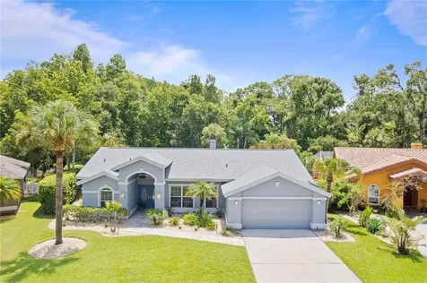 26054 Sawgrass Court Land O Lakes FL 34639