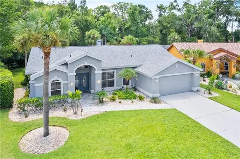 26054 Sawgrass Court Land O Lakes FL 34639