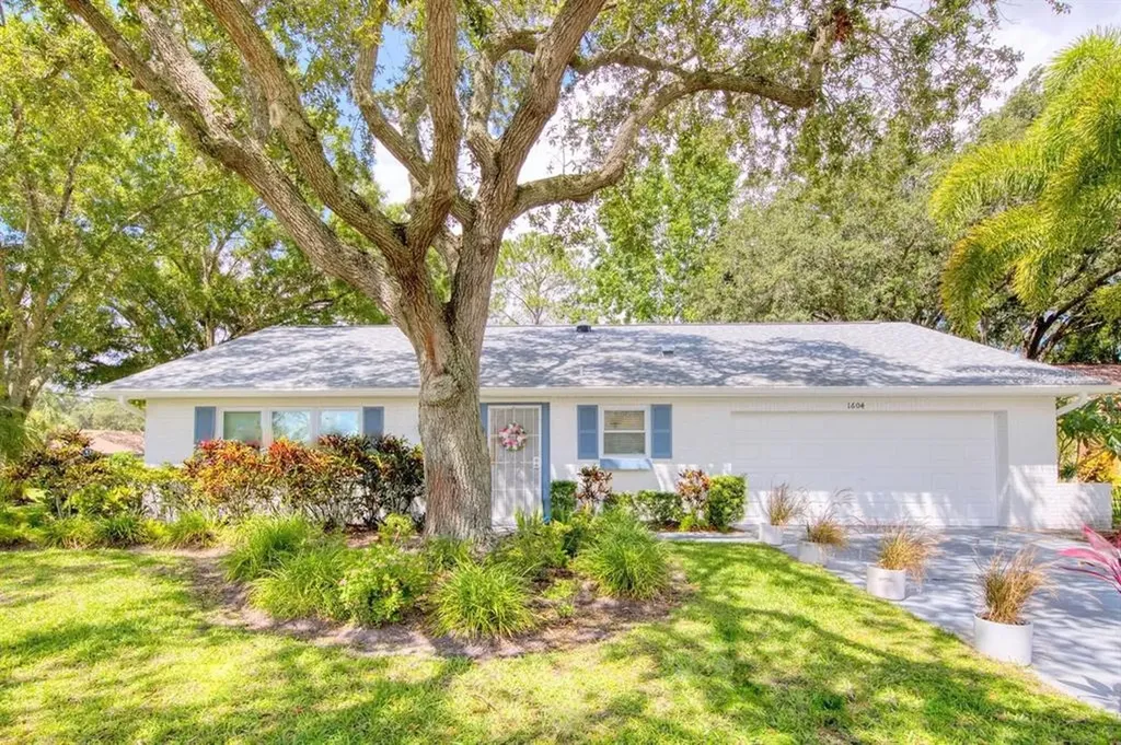 1604 Caledonia Drive Palm Harbor FL 34684