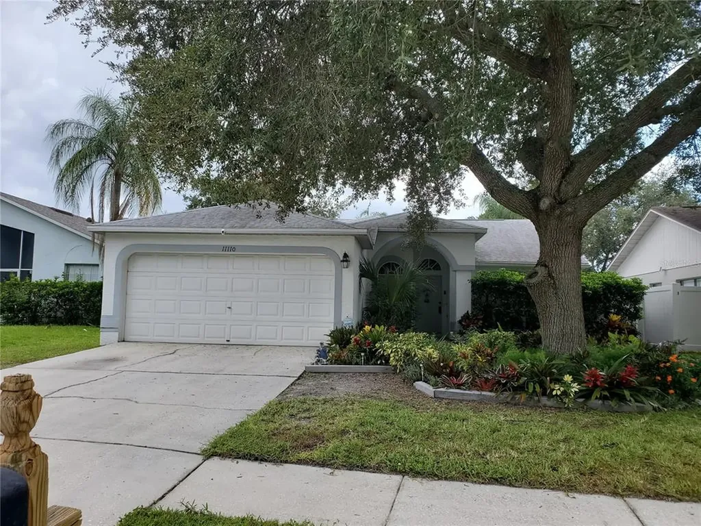 11110 Bloomington Drive Tampa FL 33635
