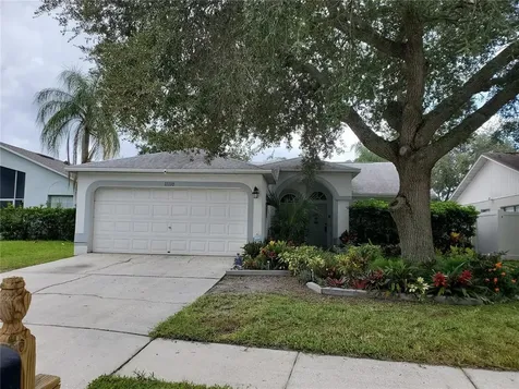 11110 Bloomington Drive Tampa FL 33635