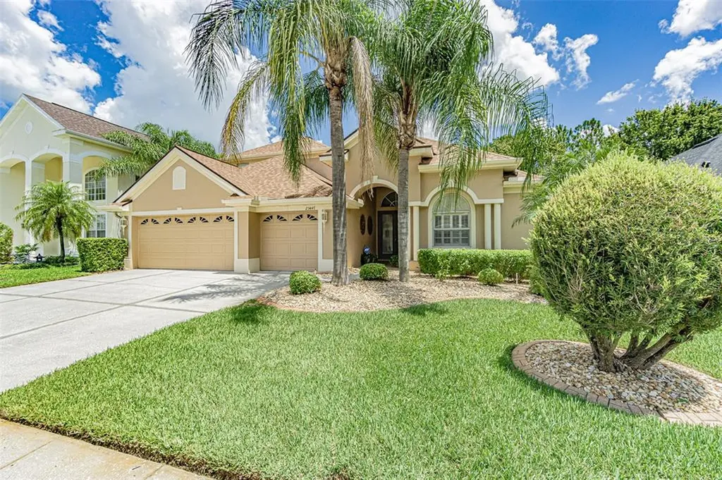 23447 Vistamar Court Land O Lakes FL 34639