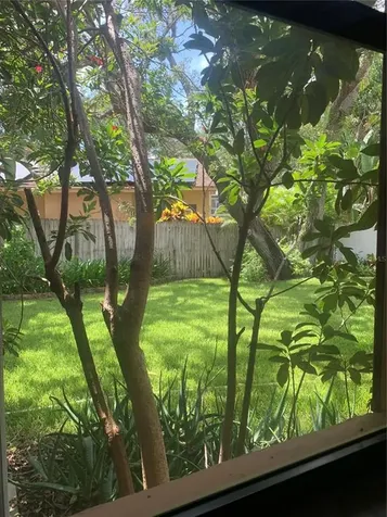 1422 Mallard Place Palm Harbor FL 34683