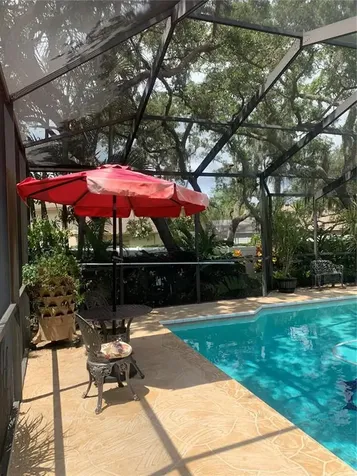1422 Mallard Place Palm Harbor FL 34683