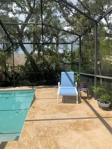 1422 Mallard Place Palm Harbor FL 34683