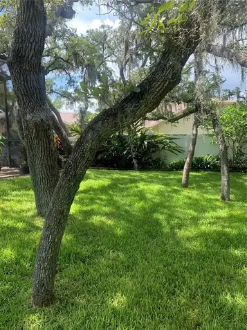 1422 Mallard Place Palm Harbor FL 34683