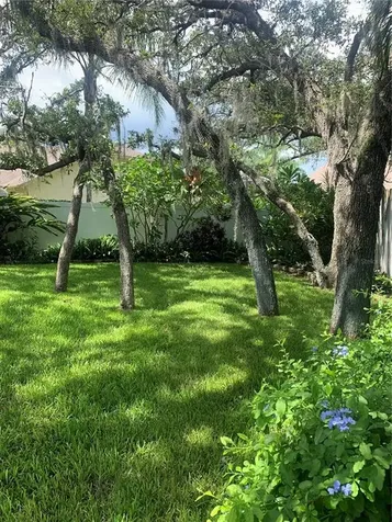 1422 Mallard Place Palm Harbor FL 34683