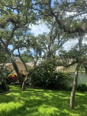 1422 Mallard Place Palm Harbor FL 34683