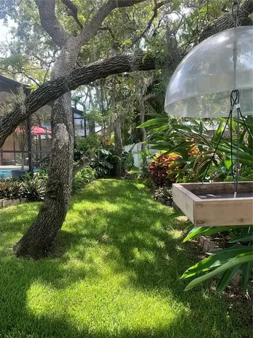 1422 Mallard Place Palm Harbor FL 34683