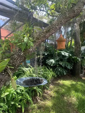 1422 Mallard Place Palm Harbor FL 34683