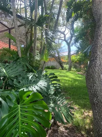 1422 Mallard Place Palm Harbor FL 34683