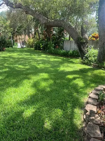 1422 Mallard Place Palm Harbor FL 34683