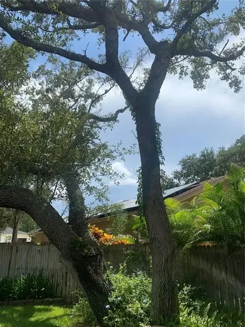 1422 Mallard Place Palm Harbor FL 34683