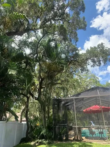 1422 Mallard Place Palm Harbor FL 34683
