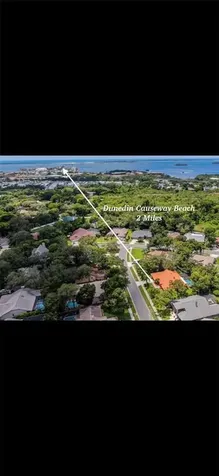 1422 Mallard Place Palm Harbor FL 34683