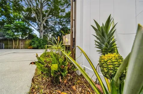 3110 W Tambay Avenue Tampa FL 33611