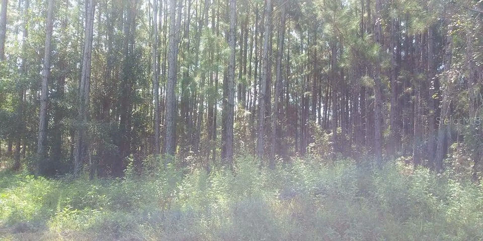 Commonwealth Avenue N Polk City FL 33868