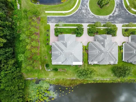 3931 Fawnmist Drive Wesley Chapel FL 33544