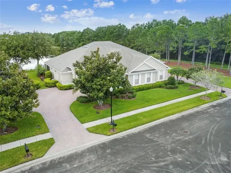 3931 Fawnmist Drive Wesley Chapel FL 33544
