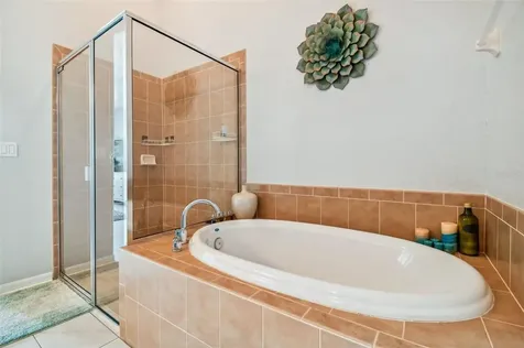 3931 Fawnmist Drive Wesley Chapel FL 33544