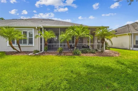 3931 Fawnmist Drive Wesley Chapel FL 33544