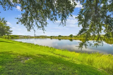3931 Fawnmist Drive Wesley Chapel FL 33544