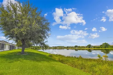 3931 Fawnmist Drive Wesley Chapel FL 33544