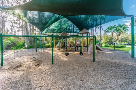 3931 Fawnmist Drive Wesley Chapel FL 33544