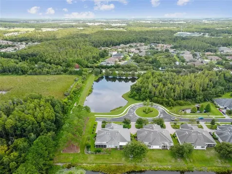 3931 Fawnmist Drive Wesley Chapel FL 33544