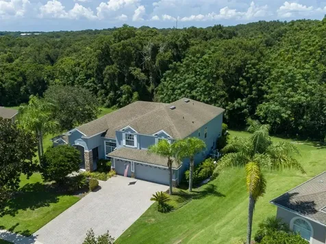 6120 Tremayne Drive Mount Dora FL 32757
