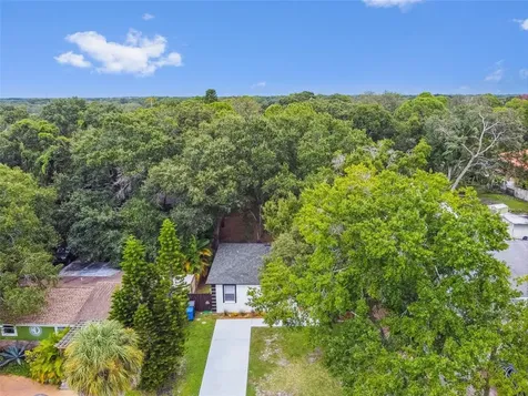 10209 Oslin Street Tampa FL 33615