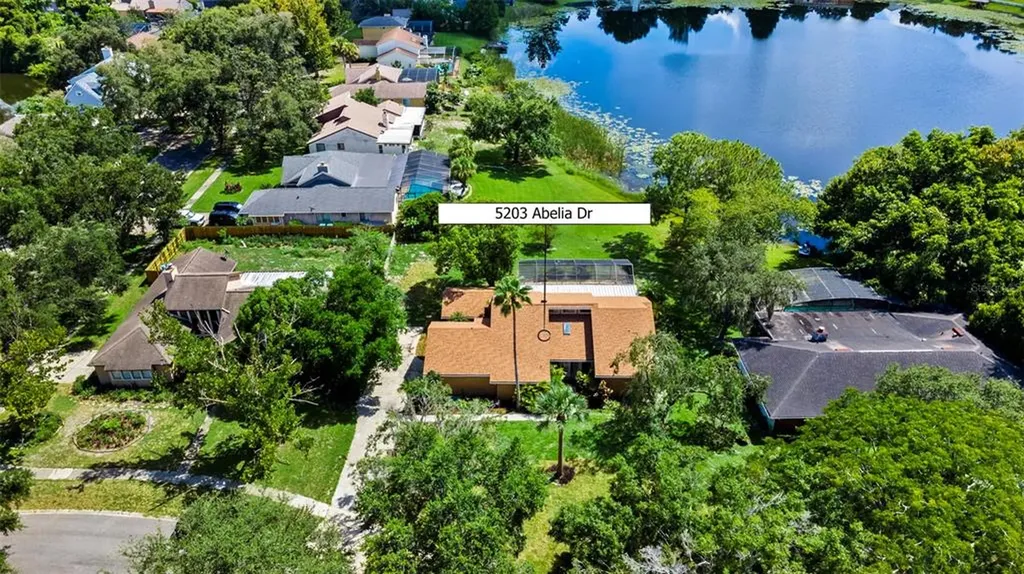 5203 Abelia Drive Orlando FL 32819