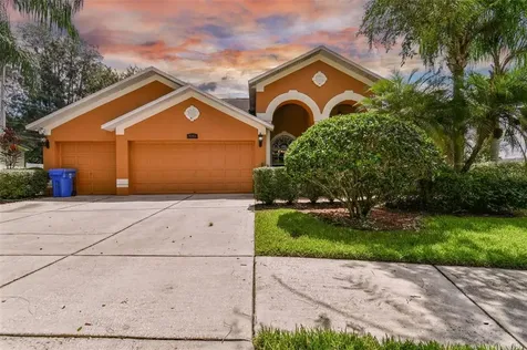 4243 Balington Drive Valrico FL 33596