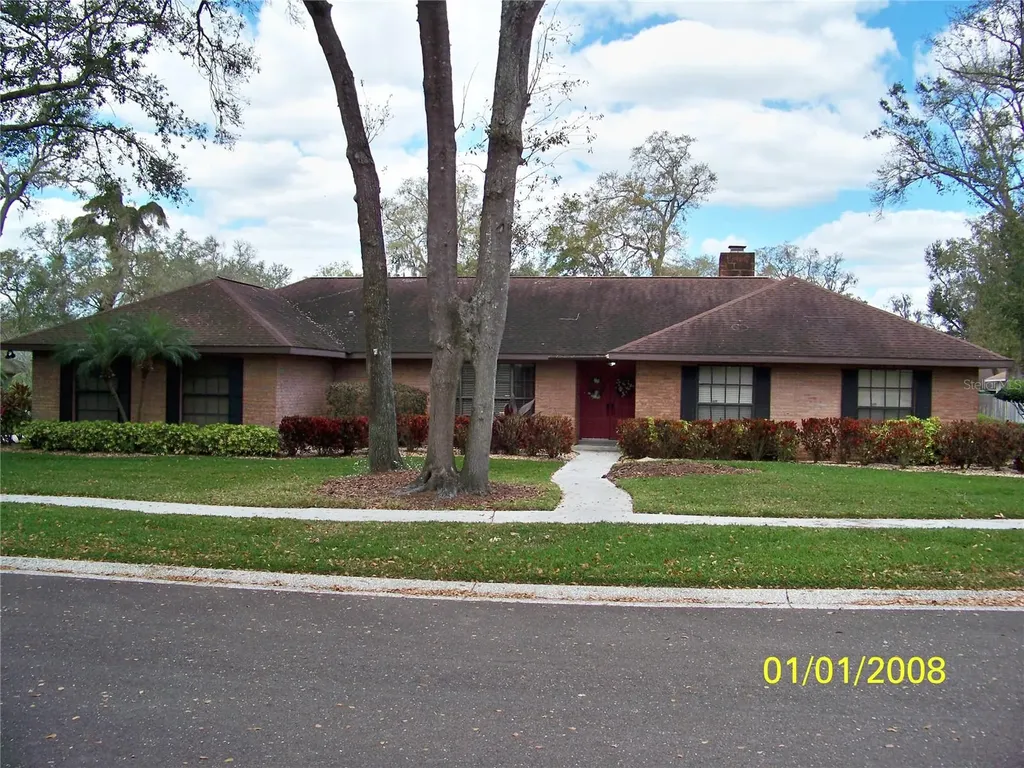 2209 Wildwood Hollow Drive Valrico FL 33596